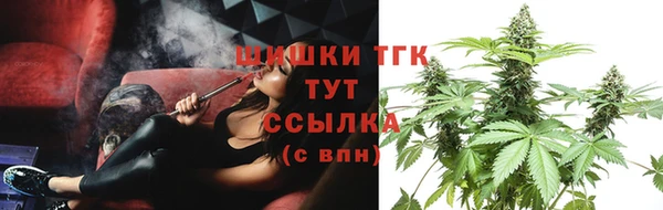 гашик Касимов