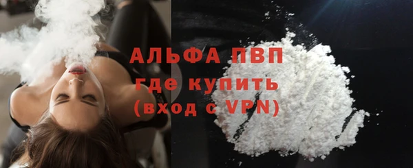 гашик Карпинск