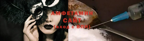гашик Карпинск