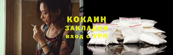 дживик Каменка
