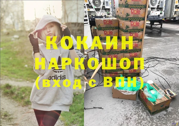 гашик Карпинск