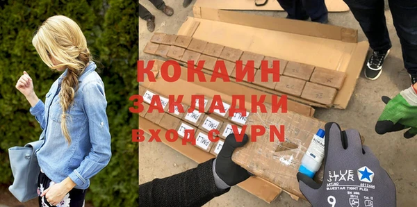 гашик Касимов