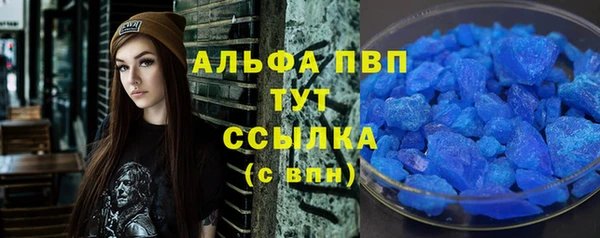 гашик Касимов