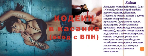 гашик Касимов