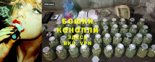 гашик Карпинск