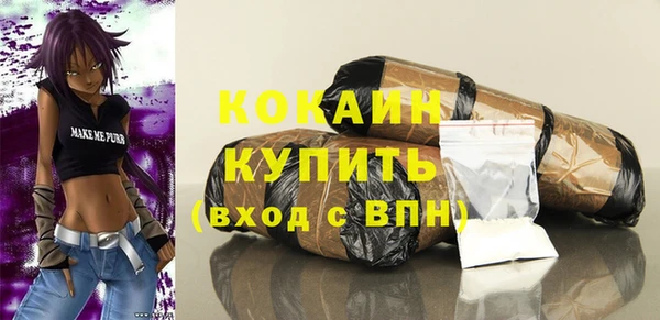 молекула духа Каменск-Шахтинский