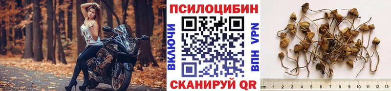 Псилоцибиновые грибы MAGIC MUSHROOMS  Купить  Калтан 