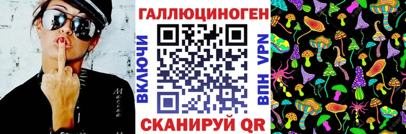 Псилоцибиновые грибы Psilocybe Калтан